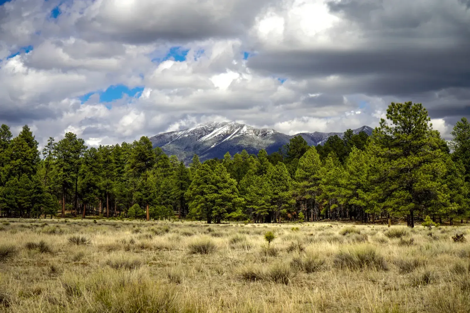 Flagstaff, Arizona skyline and neighborhoods served by U-wifi home internet