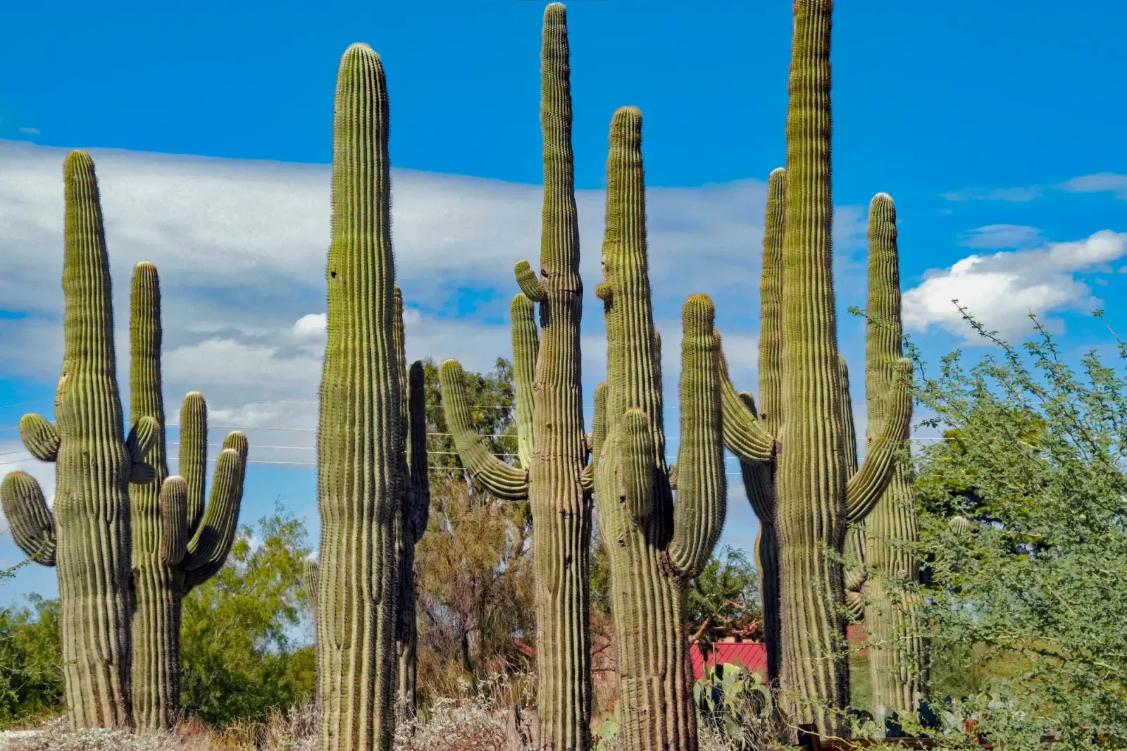 Gilbert, Arizona skyline and neighborhoods served by U-wifi home internet