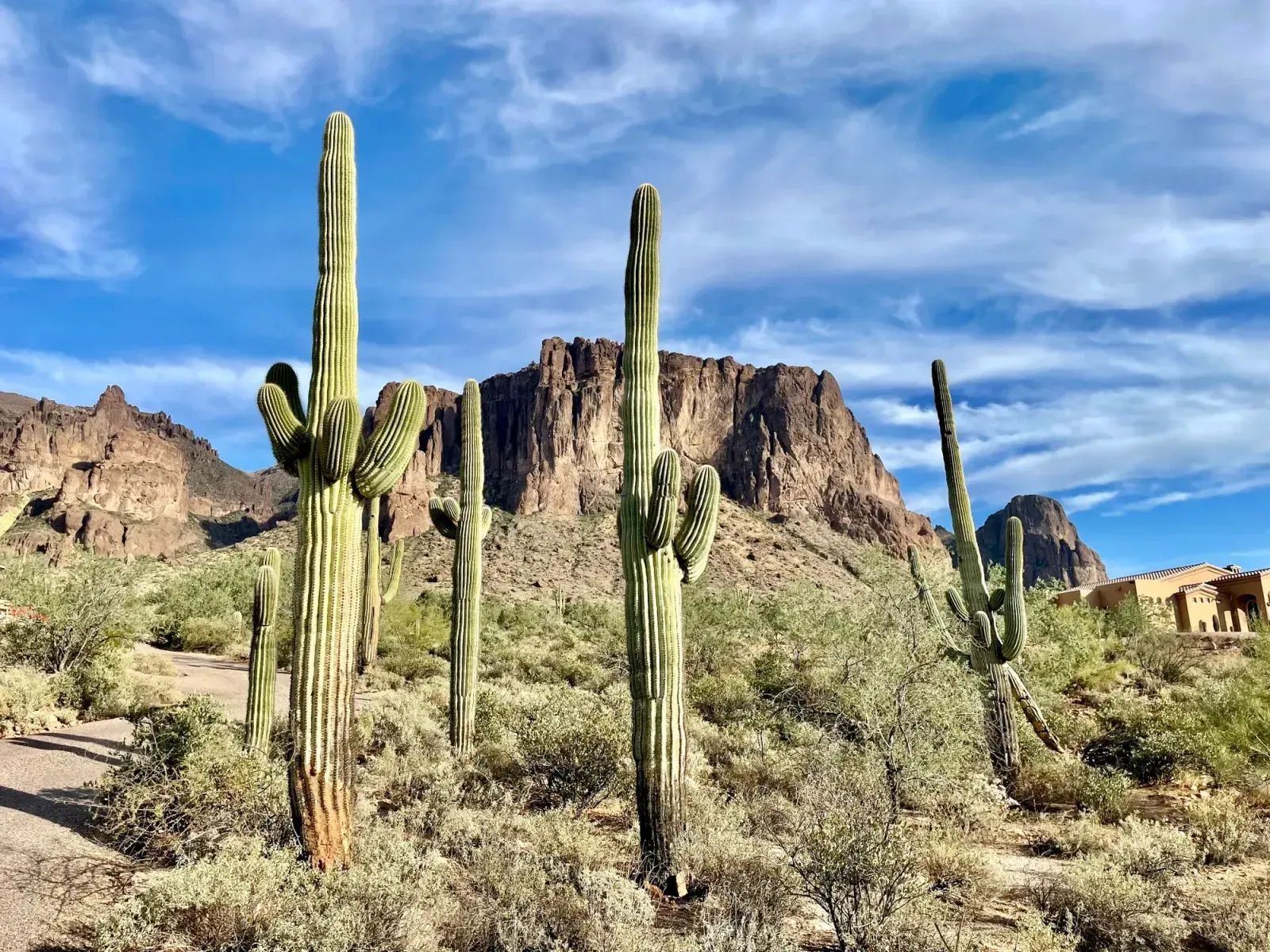 Mesa, Arizona skyline and neighborhoods served by U-wifi home internet
