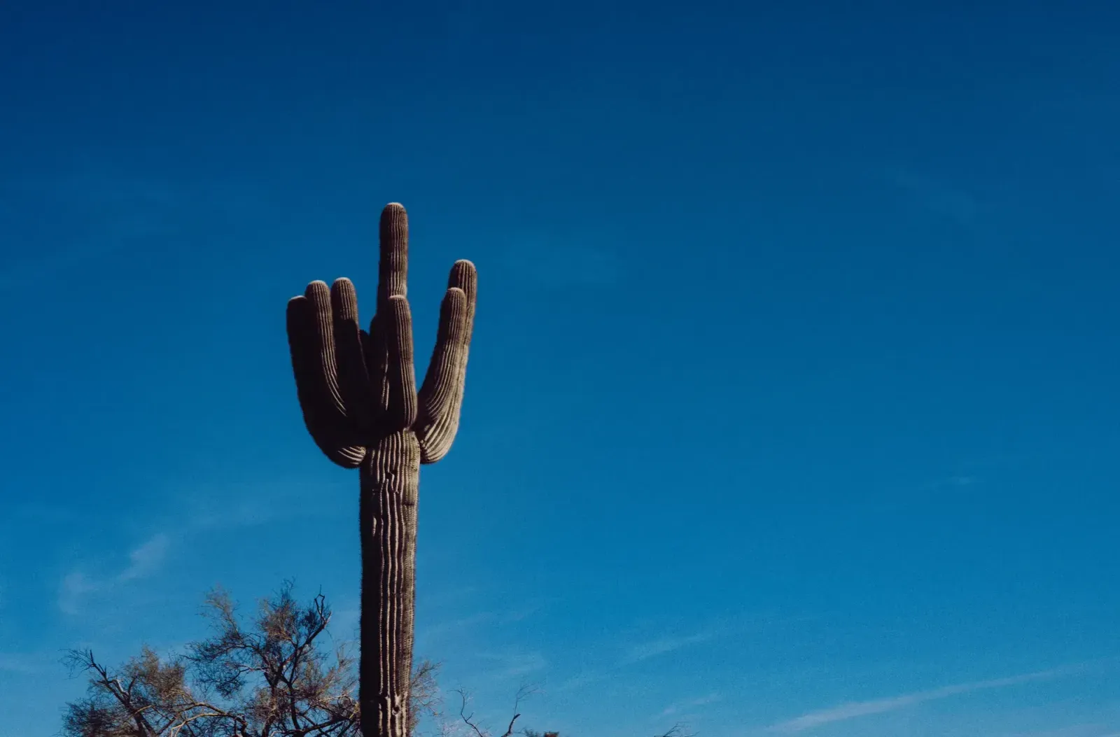 Peoria, Arizona skyline and neighborhoods served by U-wifi home internet
