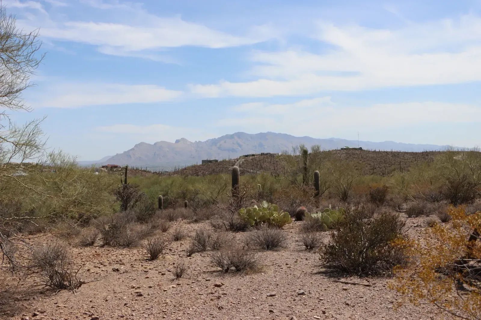 Tucson, Arizona skyline and neighborhoods served by U-wifi home internet