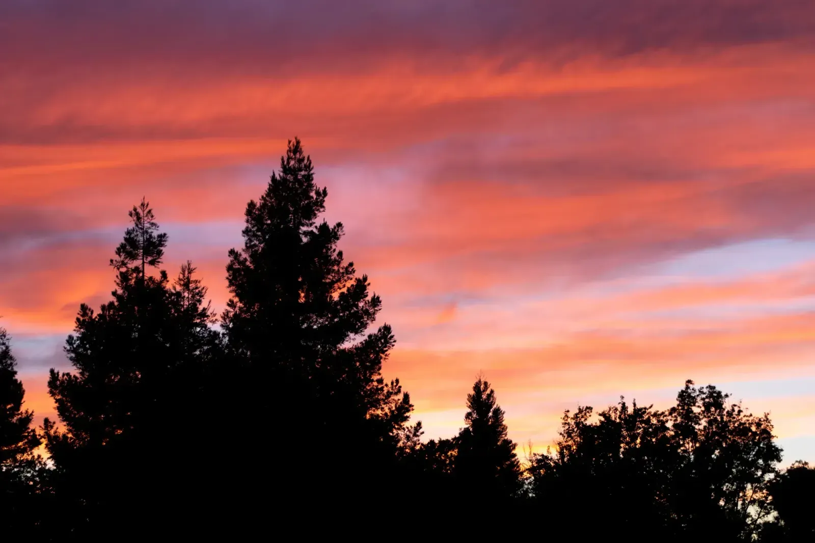 Elk Grove, California skyline and neighborhoods served by U-wifi home internet