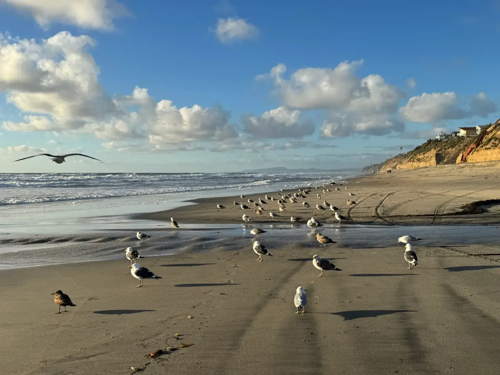 Encinitas, California skyline and neighborhoods served by U-wifi home internet