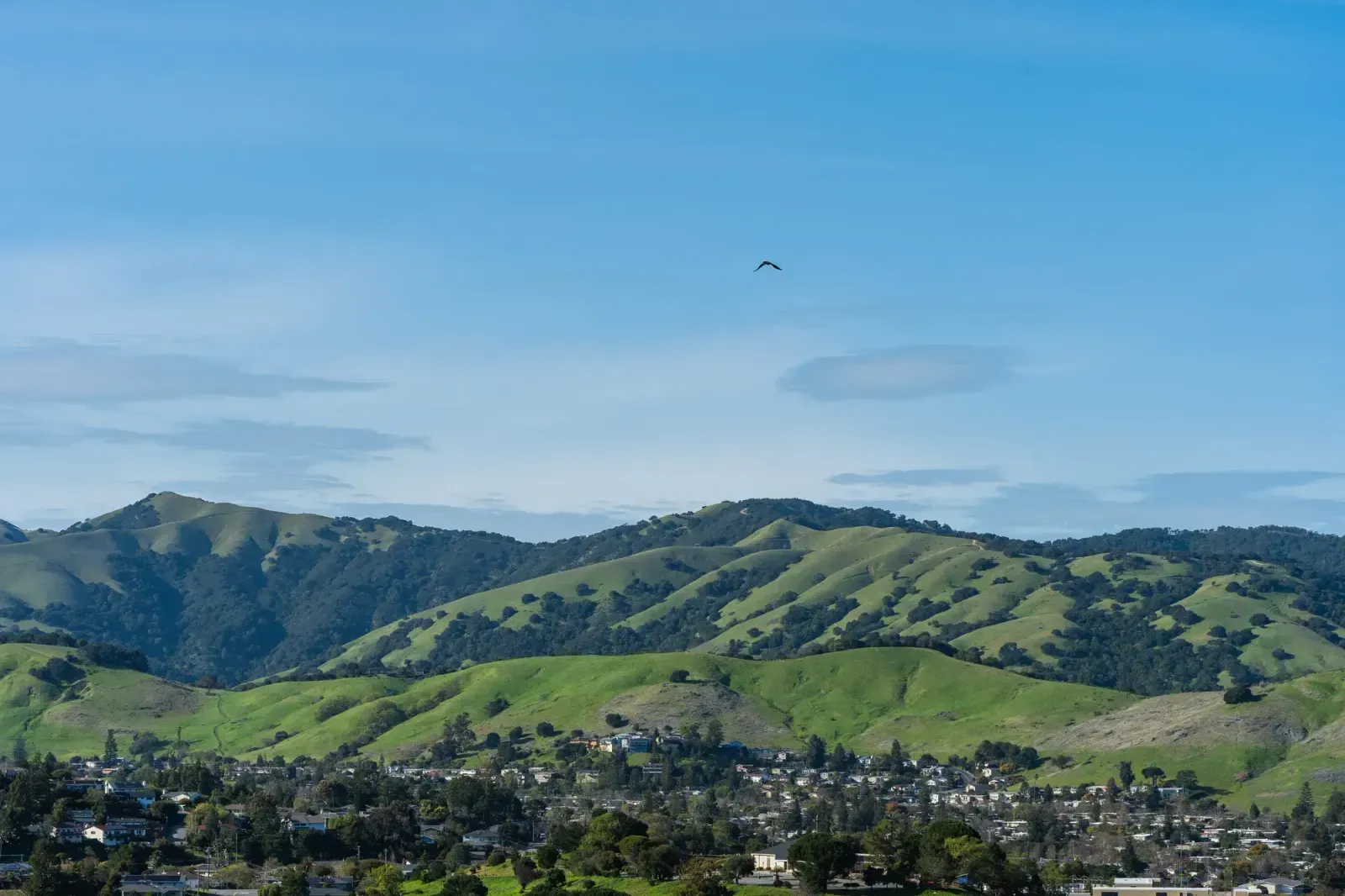 Fremont, California skyline and neighborhoods served by U-wifi home internet