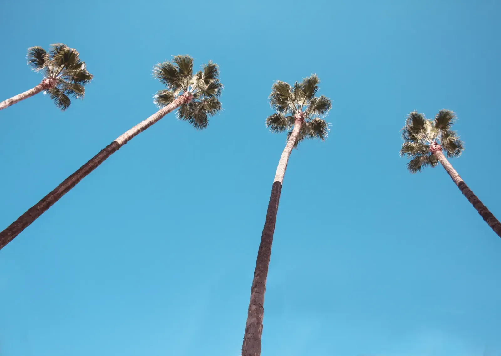 Garden Grove, California skyline and neighborhoods served by U-wifi home internet