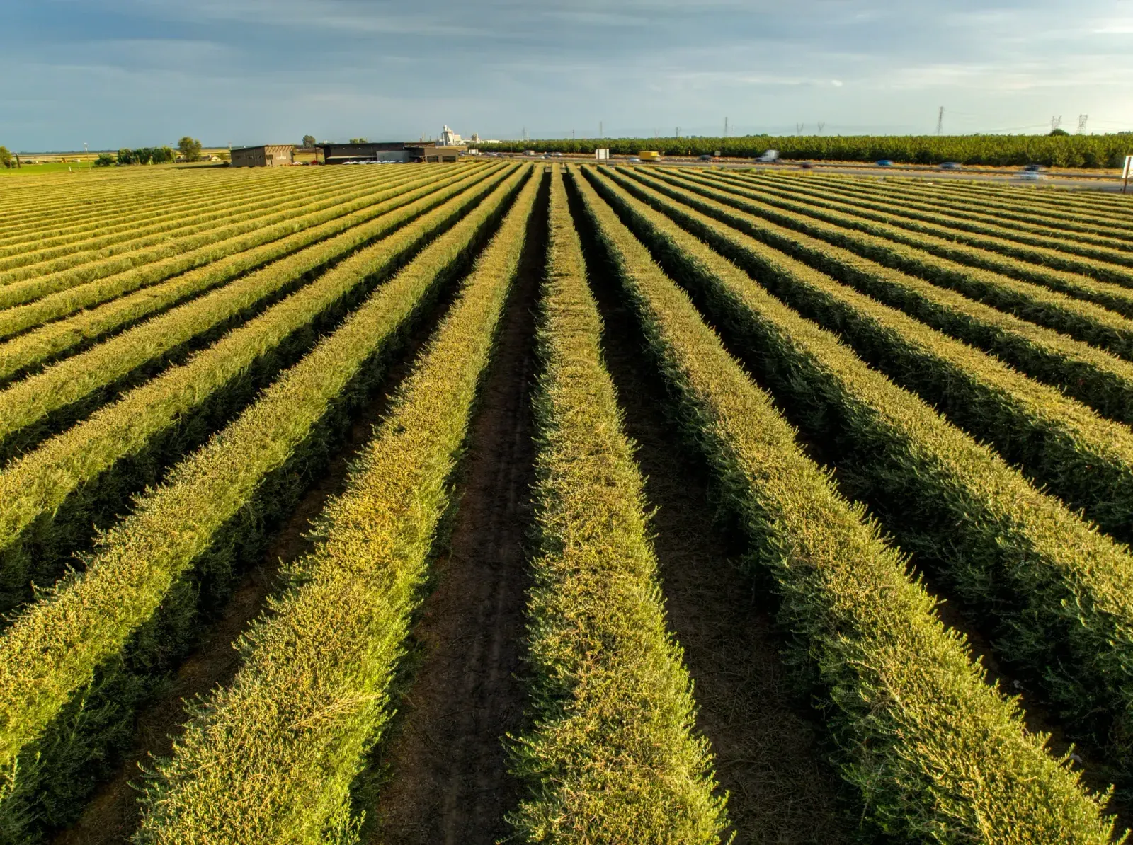 Lodi, California skyline and neighborhoods served by U-wifi home internet
