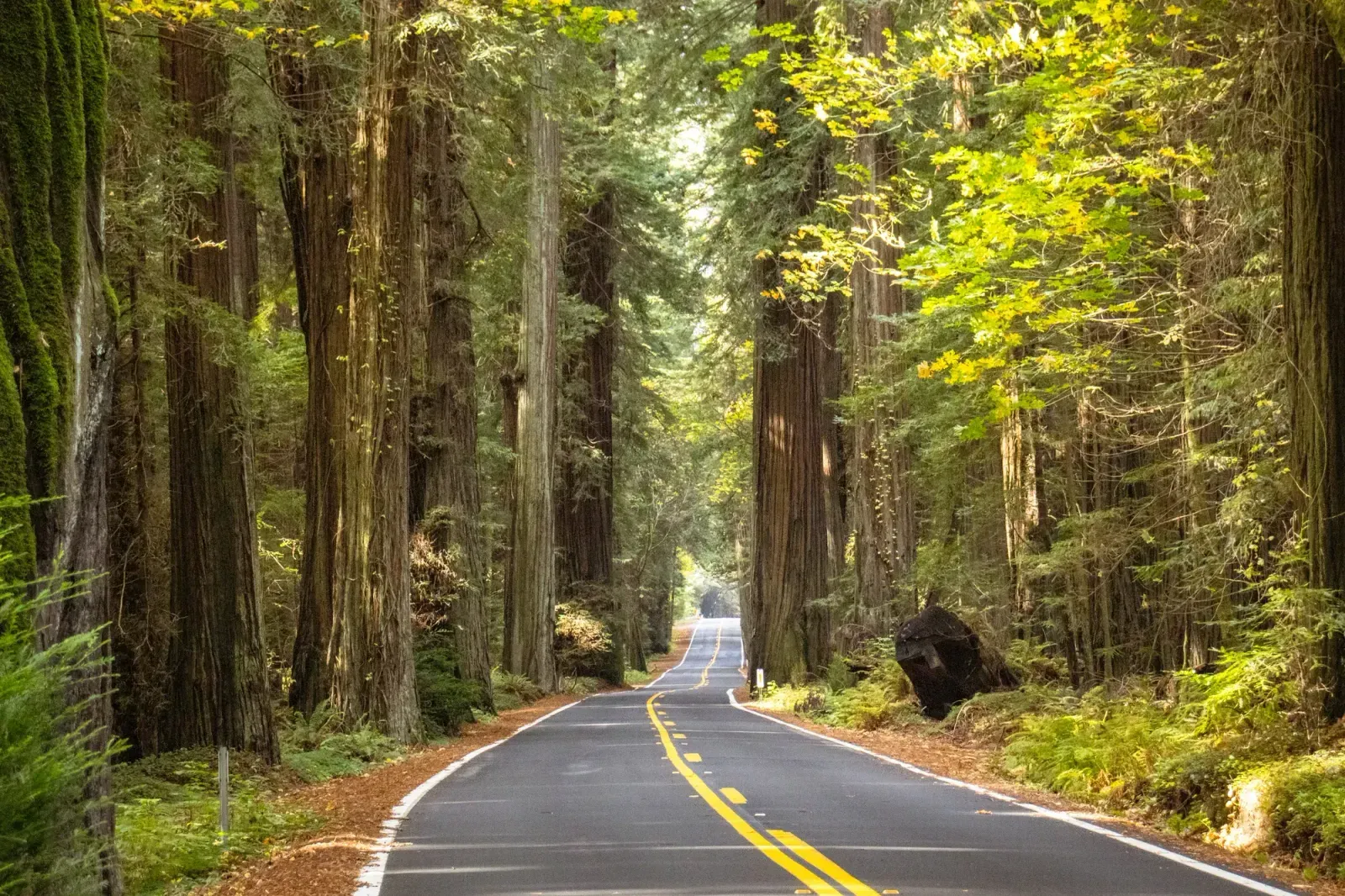 Redwood City, California skyline and neighborhoods served by U-wifi home internet