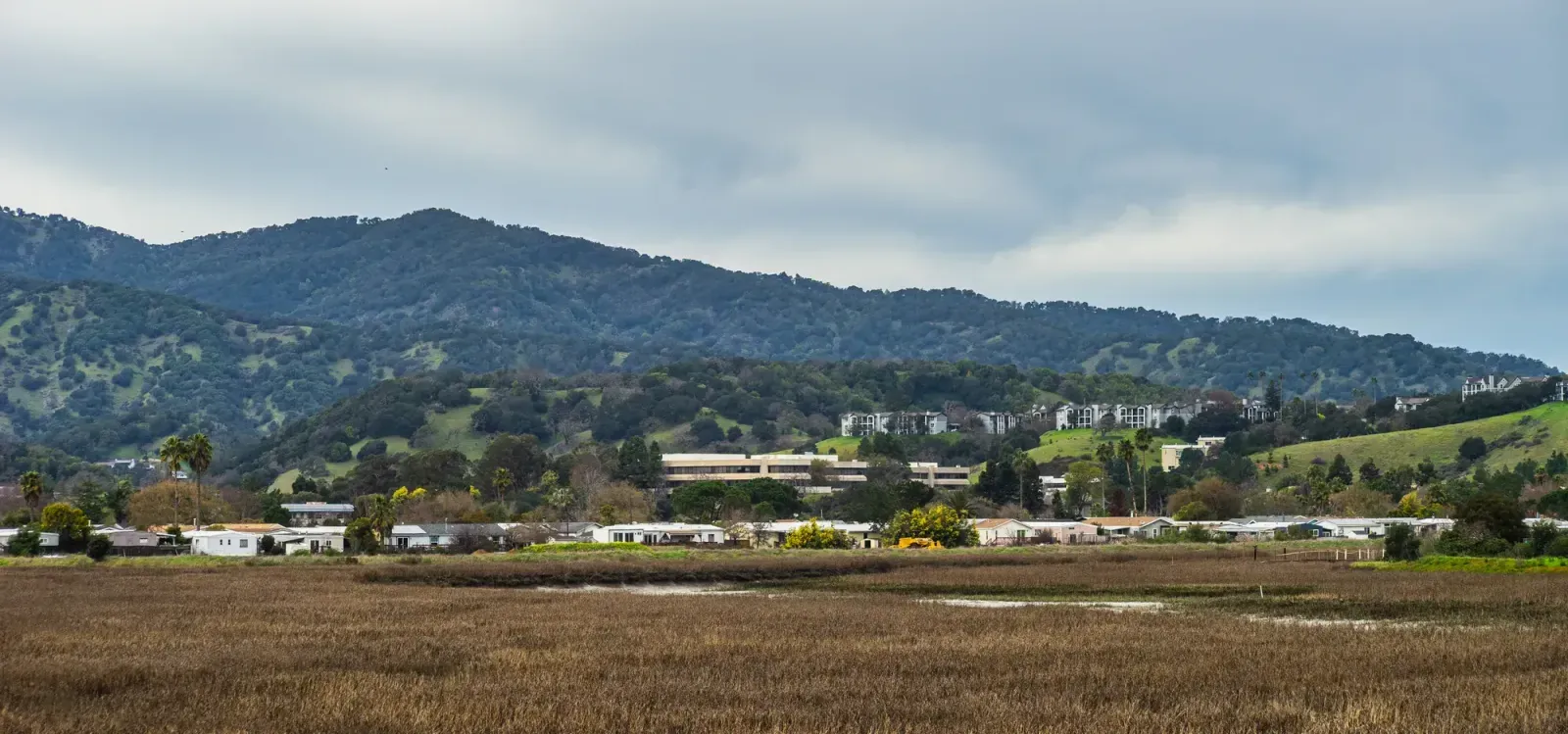 Watsonville, California skyline and neighborhoods served by U-wifi home internet