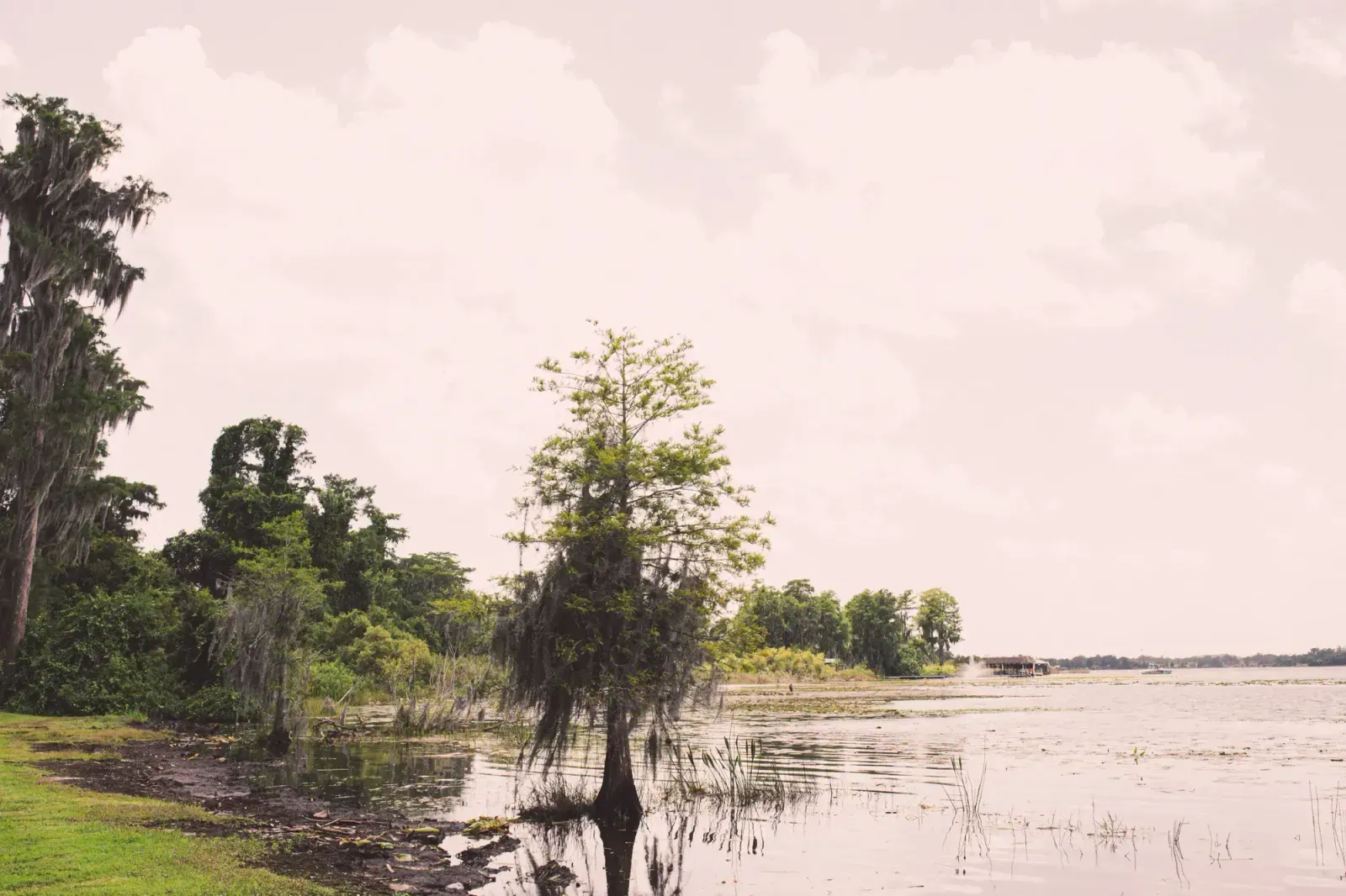Deltona, Florida skyline and neighborhoods served by U-wifi home internet