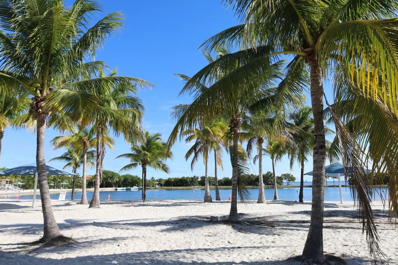 Homestead, Florida skyline and neighborhoods served by U-wifi home internet
