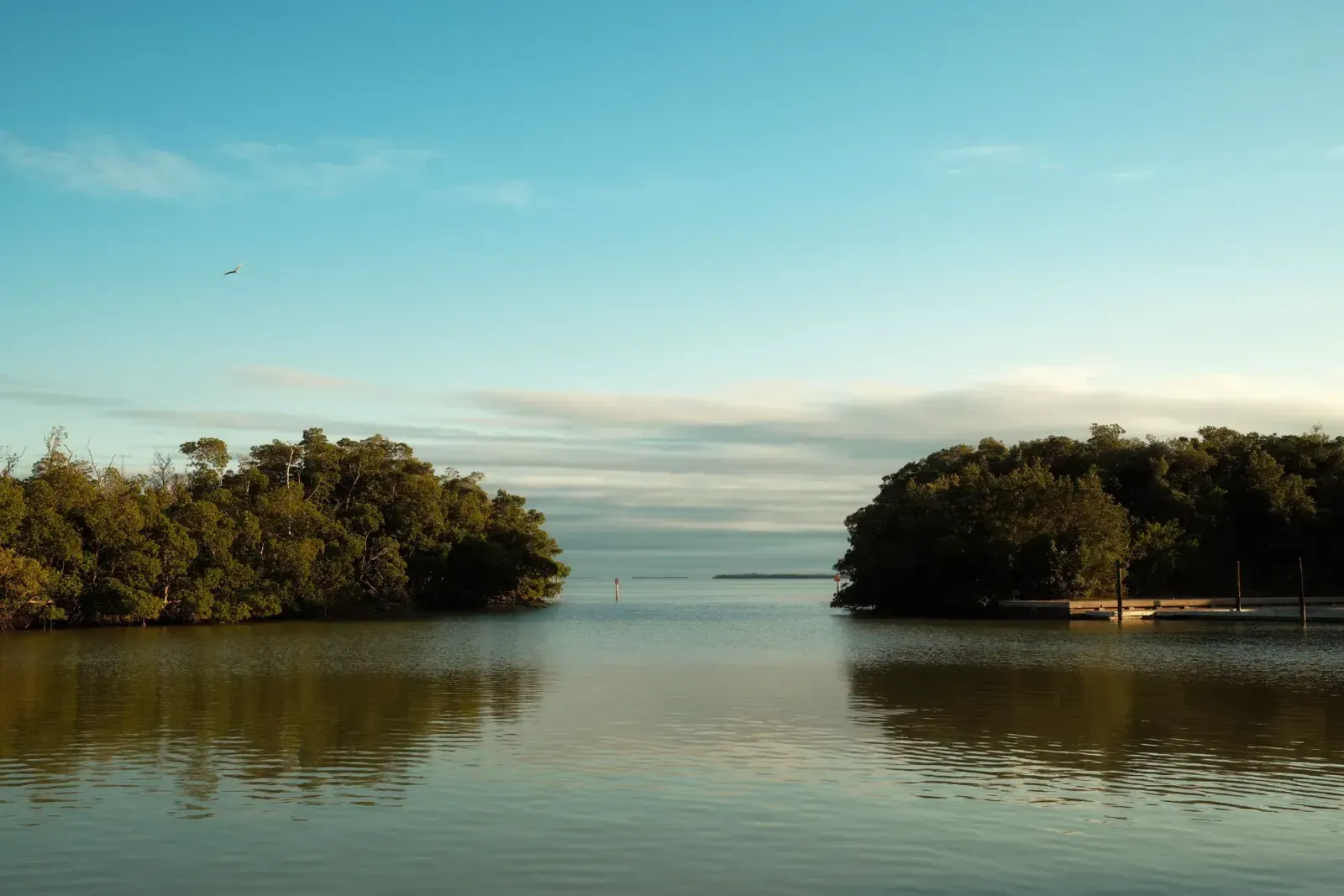 Pinellas Park, Florida skyline and neighborhoods served by U-wifi home internet