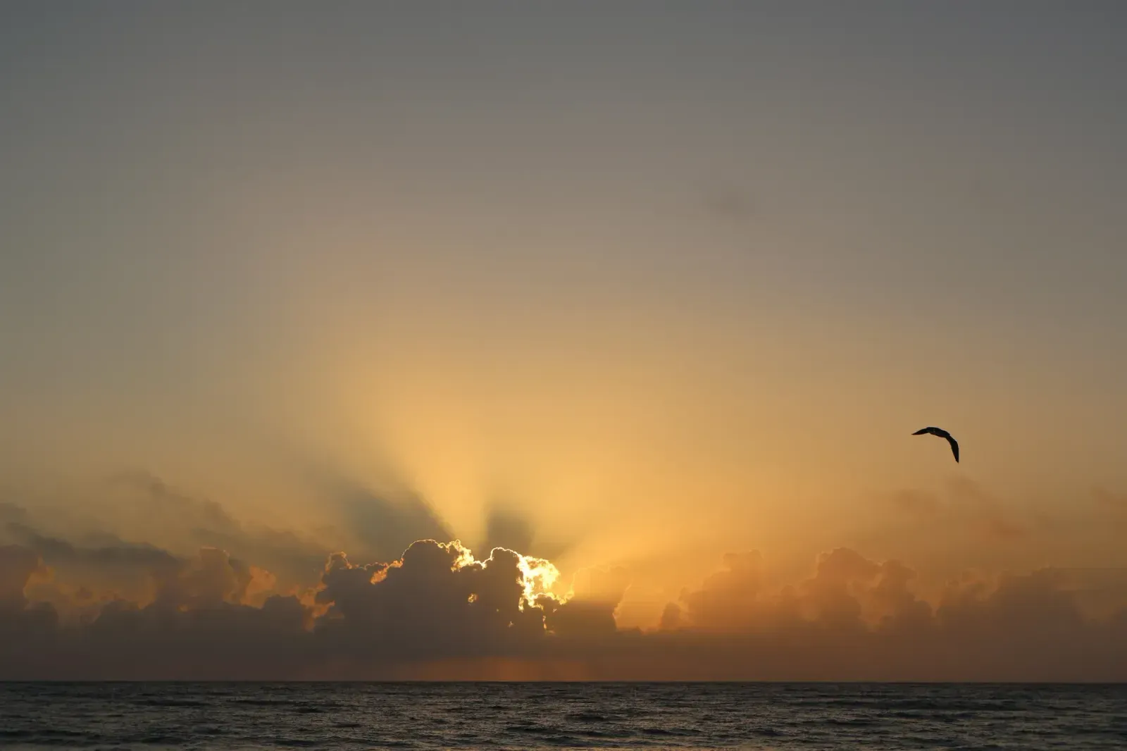 Sunrise, Florida skyline and neighborhoods served by U-wifi home internet