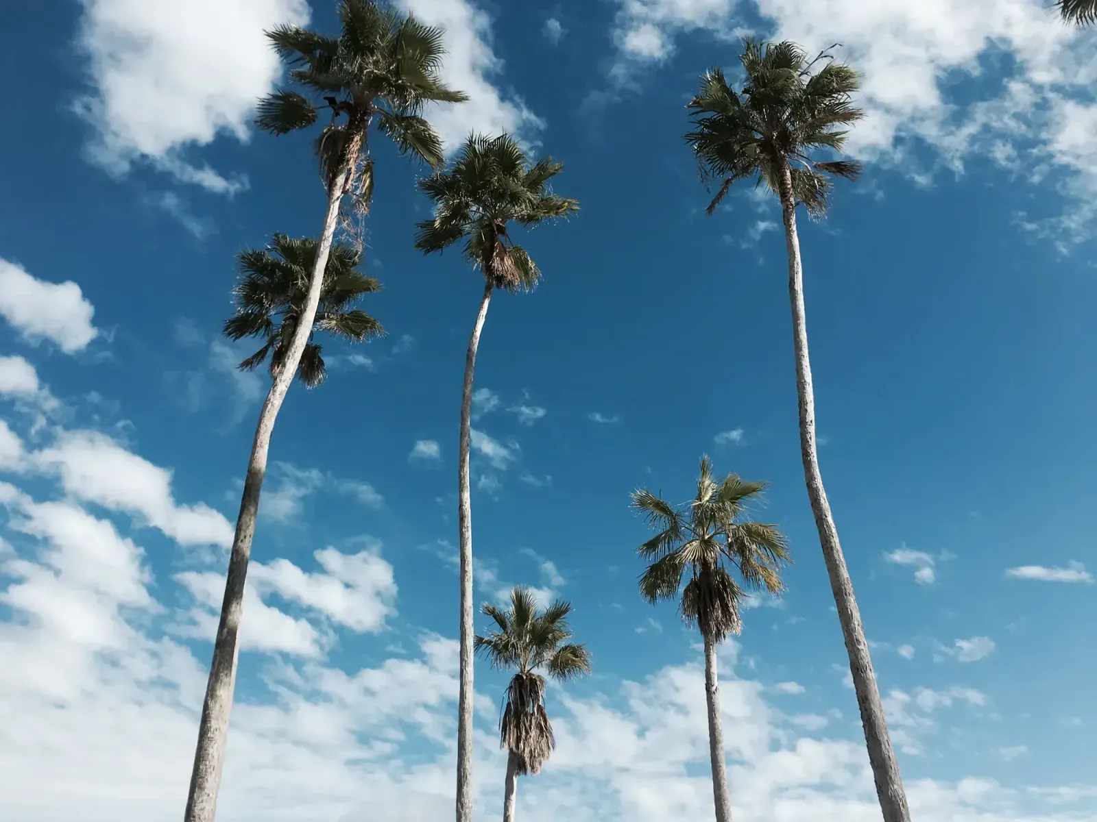 West Palm Beach, Florida skyline and neighborhoods served by U-wifi home internet