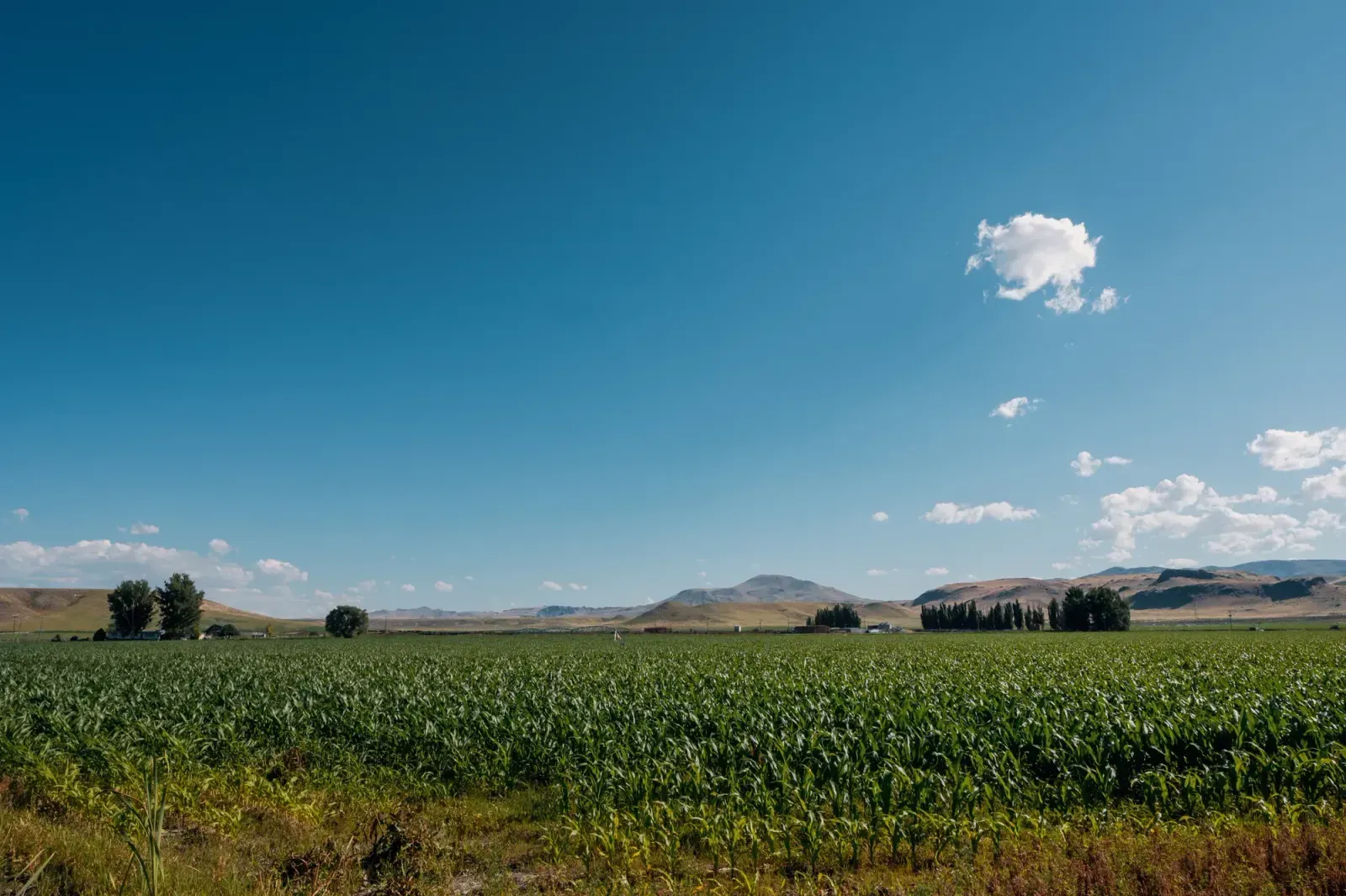 Pocatello, Idaho skyline and neighborhoods served by U-wifi home internet
