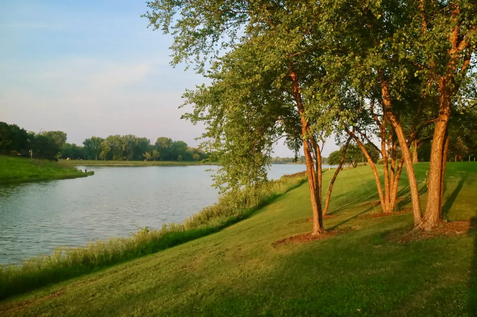 Arlington Heights, Illinois skyline and neighborhoods served by U-wifi home internet