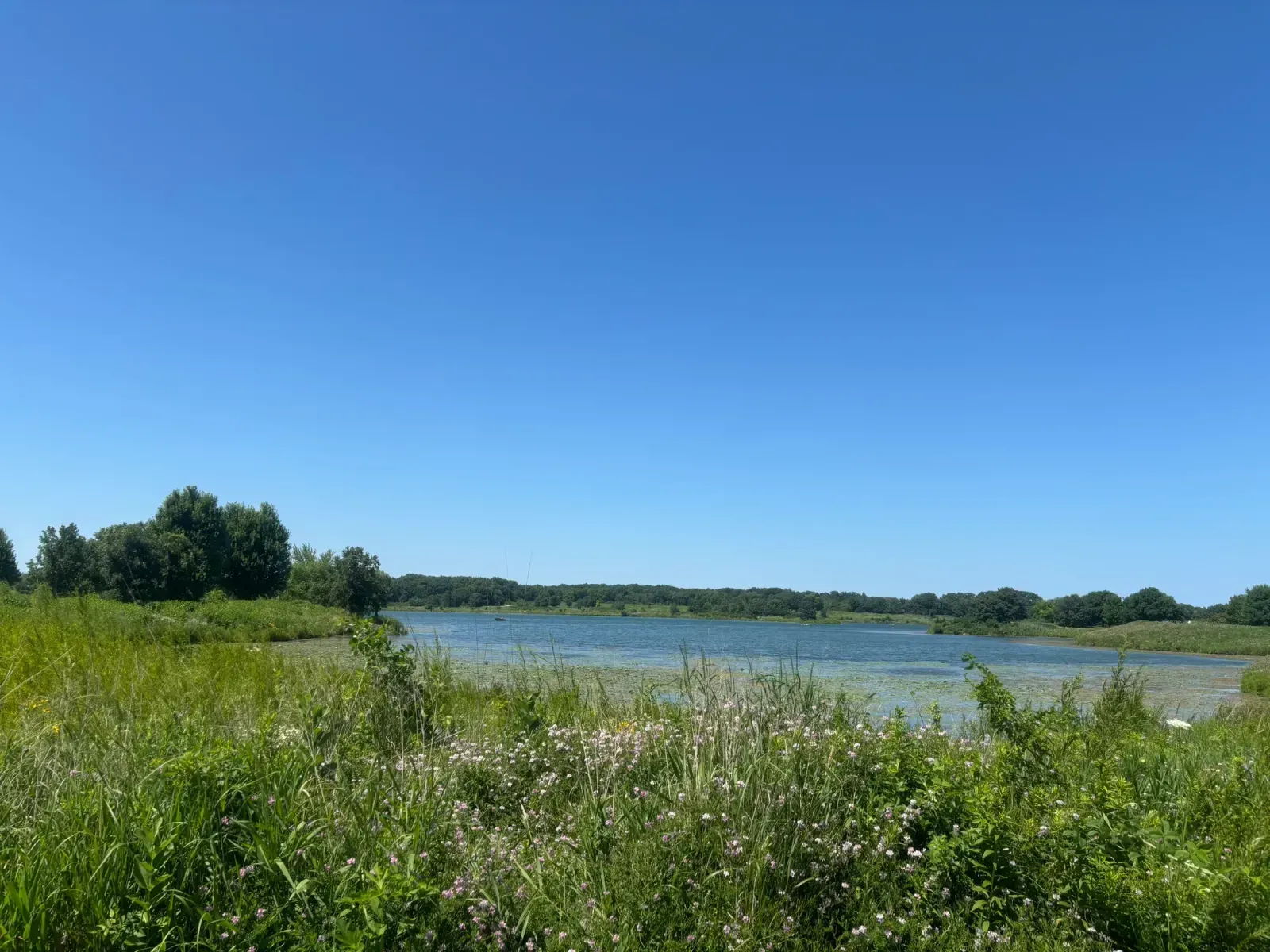 Park Ridge, Illinois skyline and neighborhoods served by U-wifi home internet