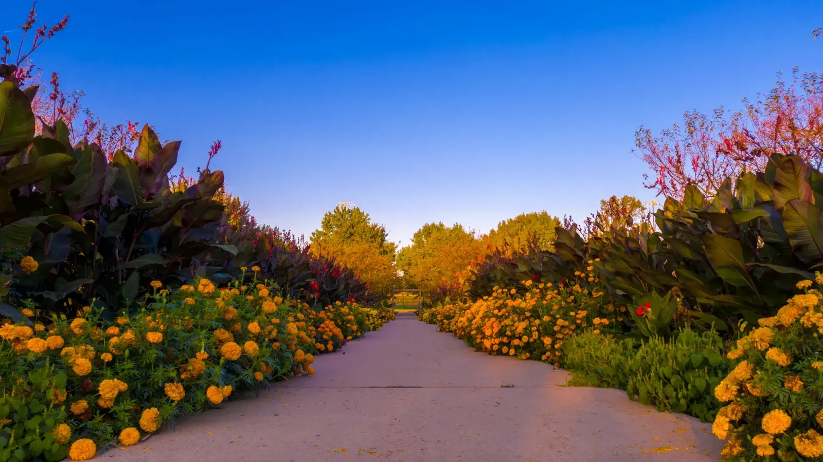 Urbana, Illinois skyline and neighborhoods served by U-wifi home internet