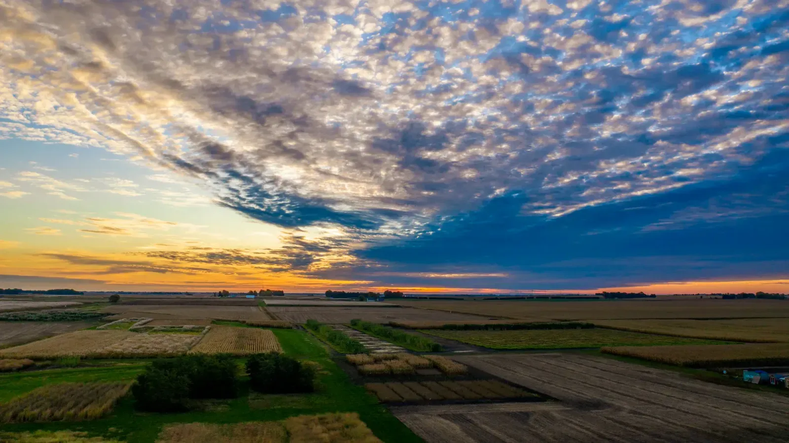 Urbana, Illinois skyline and neighborhoods served by U-wifi home internet