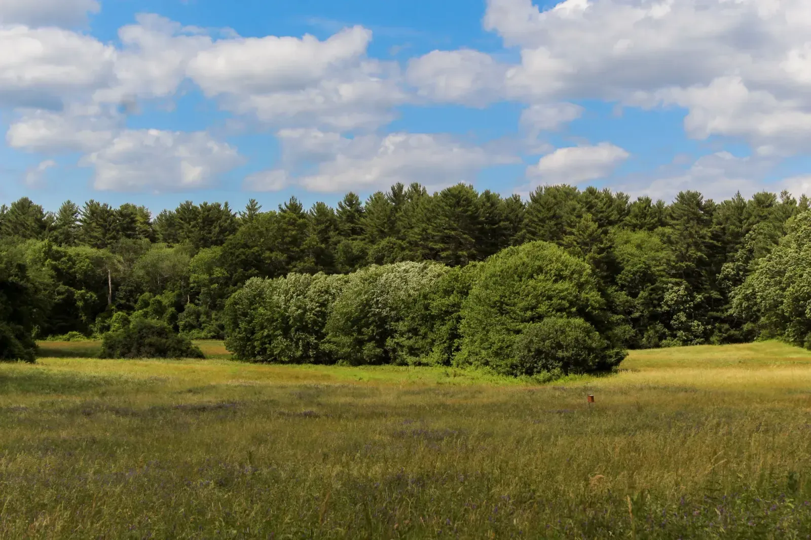 Springfield, Massachusetts skyline and neighborhoods served by U-wifi home internet