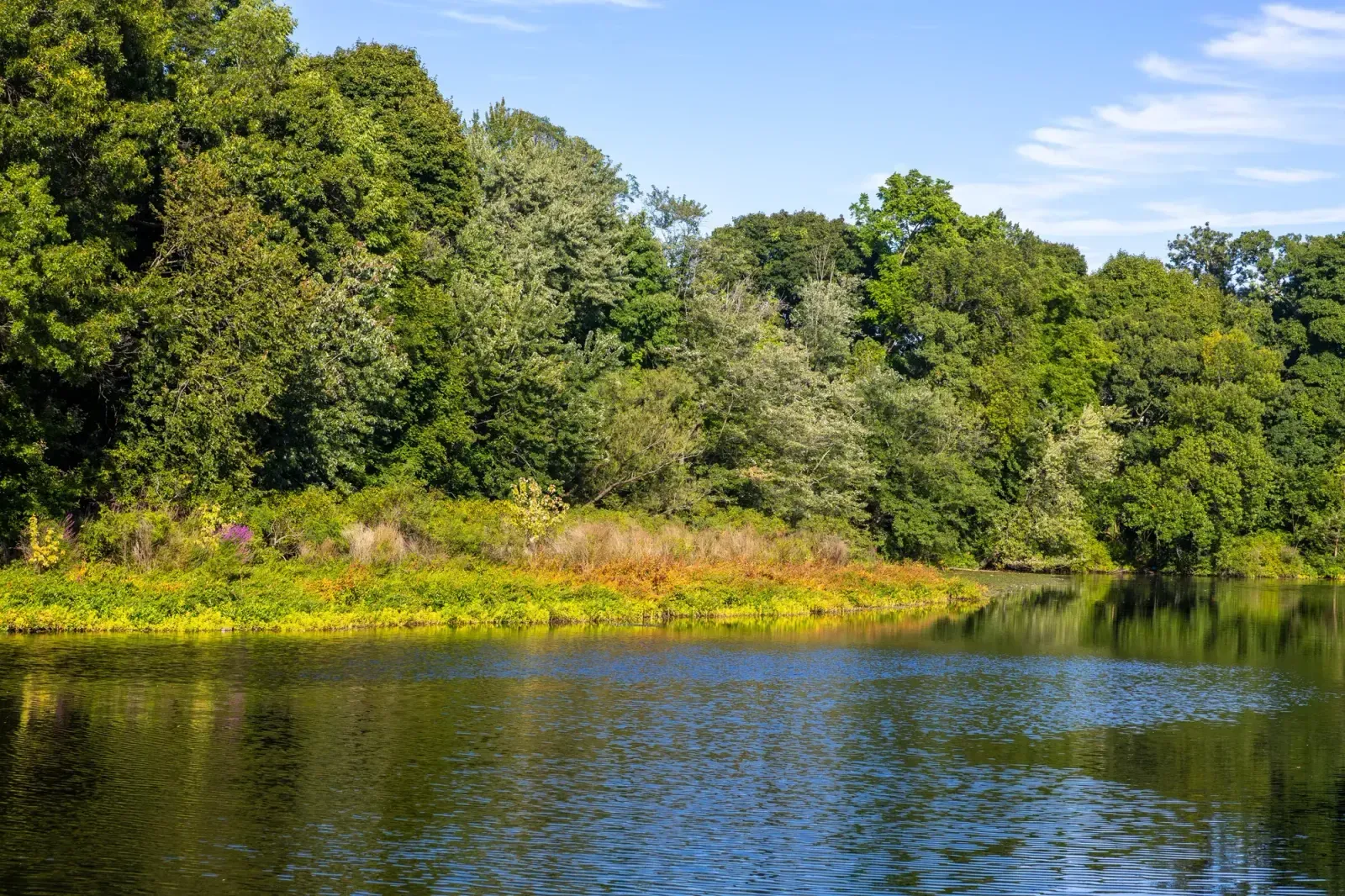 Waltham, Massachusetts skyline and neighborhoods served by U-wifi home internet