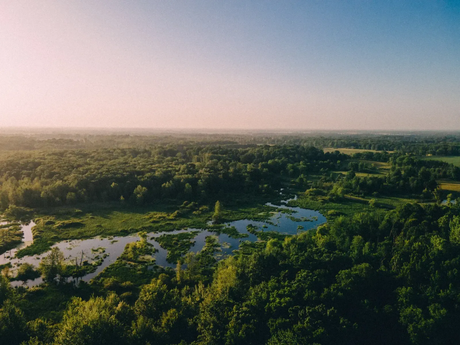 Novi, Michigan skyline and neighborhoods served by U-wifi home internet