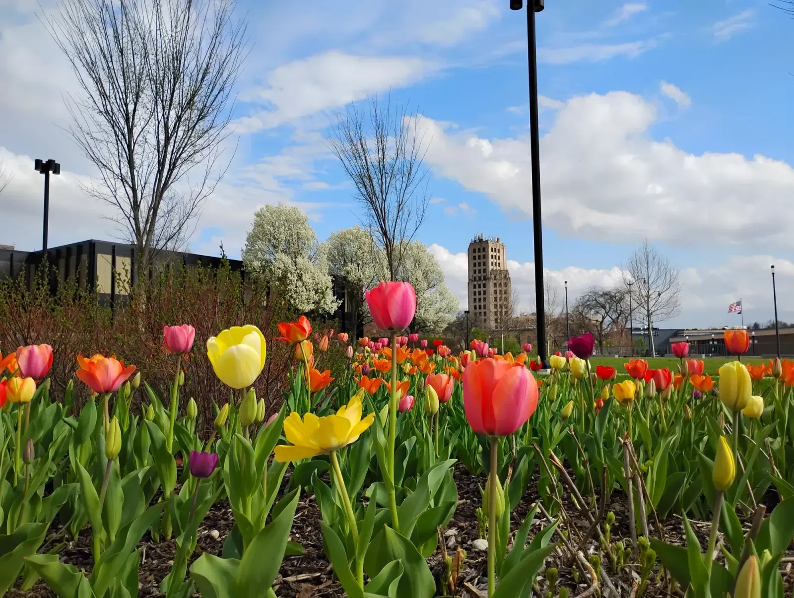 Westland, Michigan skyline and neighborhoods served by U-wifi home internet