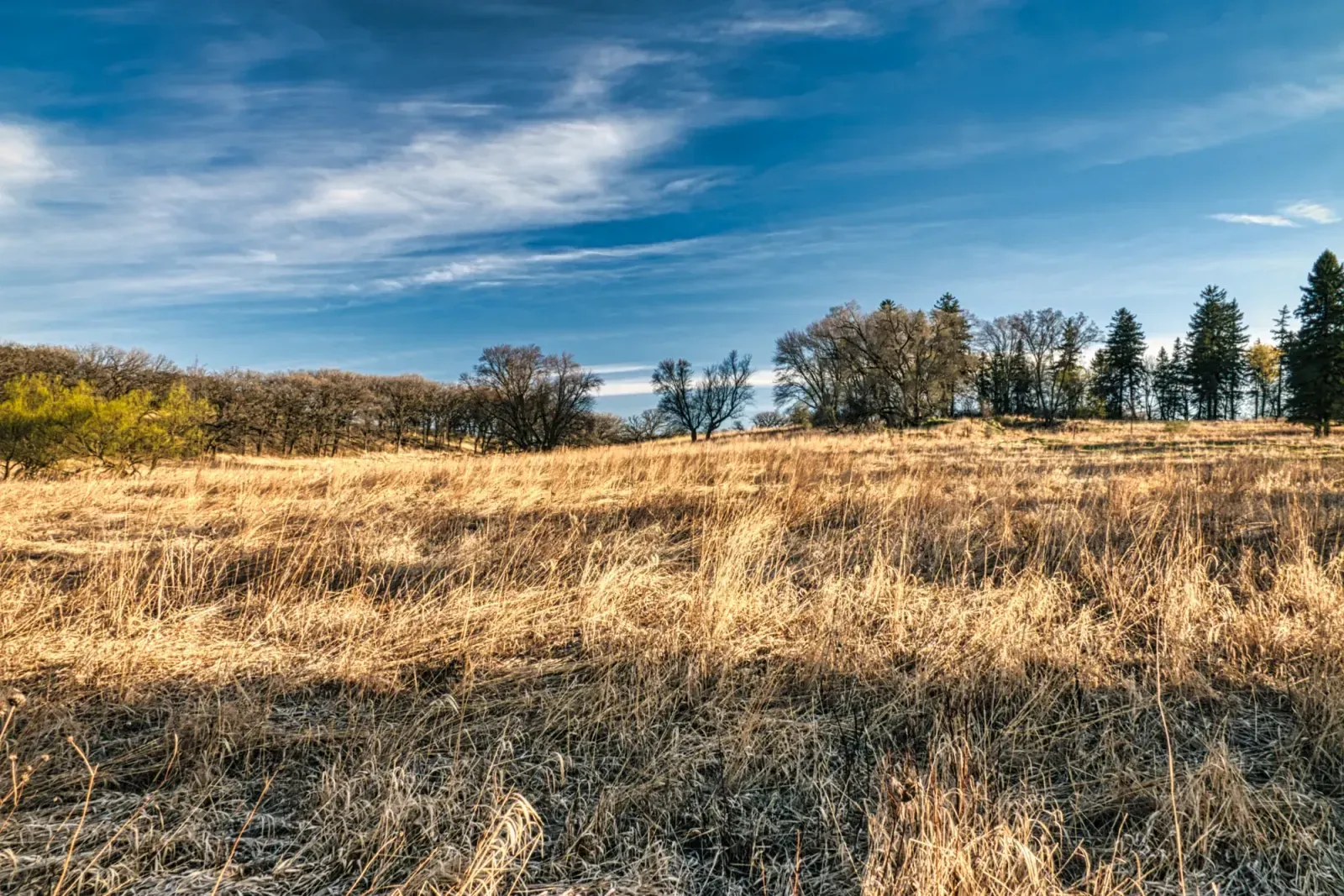 Eden Prairie, Minnesota skyline and neighborhoods served by U-wifi home internet