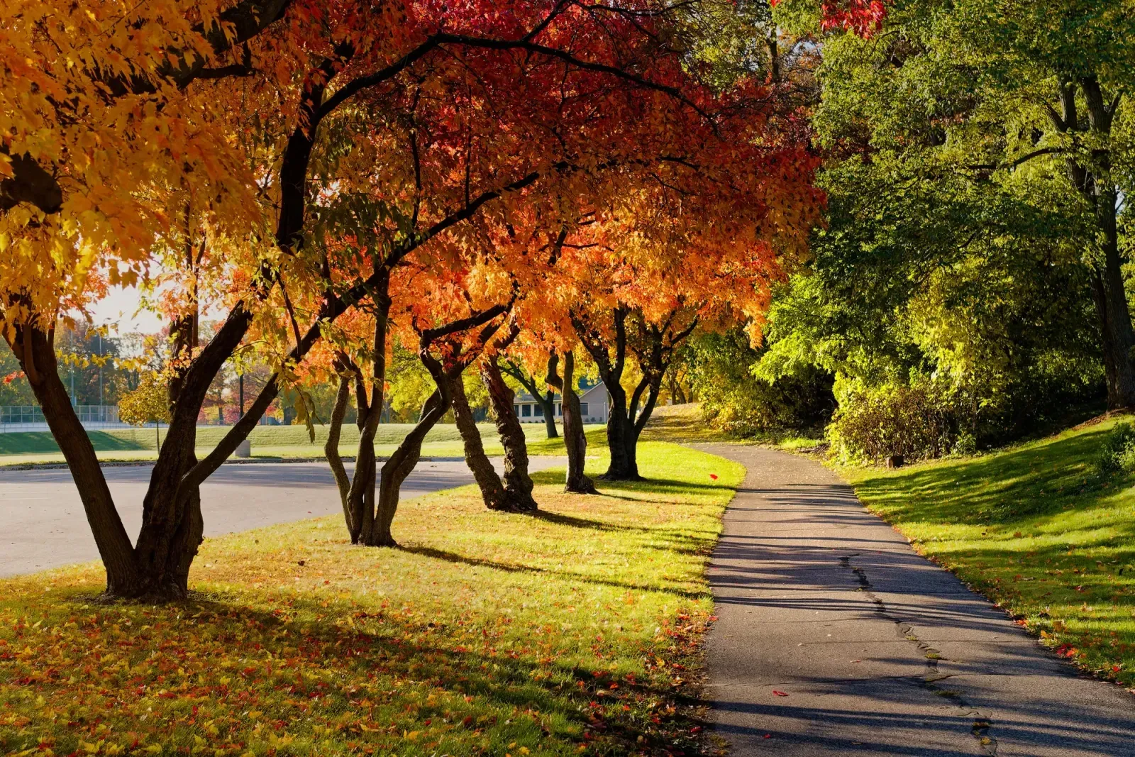 Woodbury, Minnesota skyline and neighborhoods served by U-wifi home internet