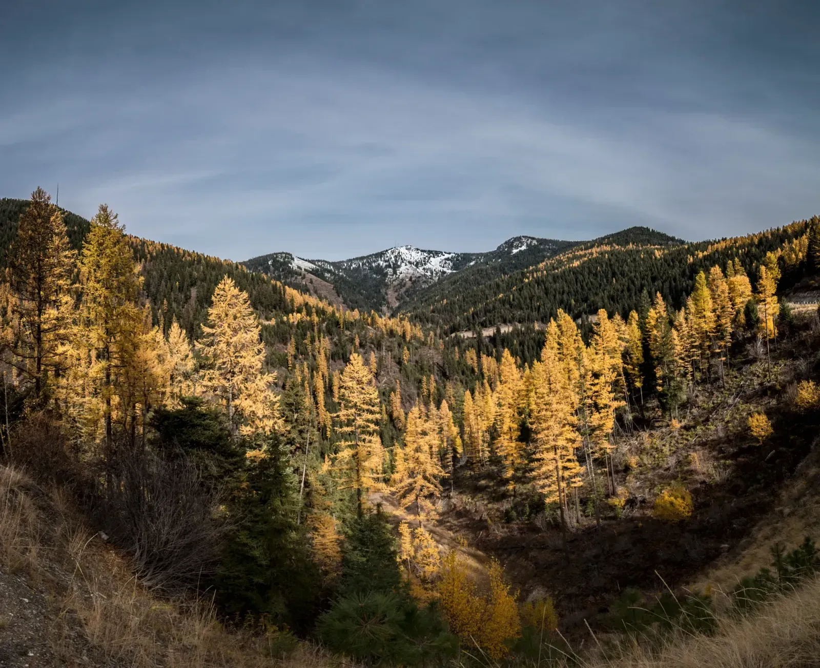 Missoula, Montana skyline and neighborhoods served by U-wifi home internet