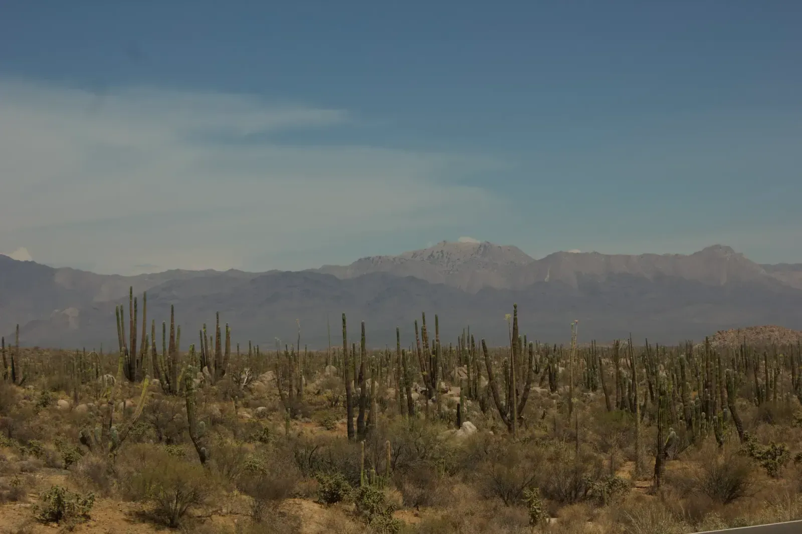 Las Cruces, New Mexico skyline and neighborhoods served by U-wifi home internet