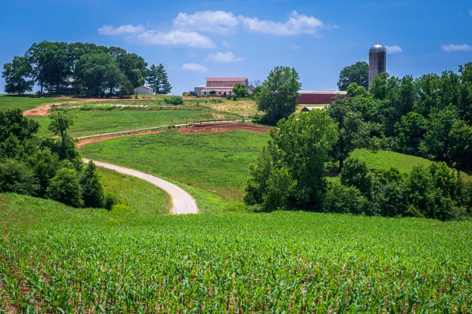 Chapel Hill, North Carolina skyline and neighborhoods served by U-wifi home internet