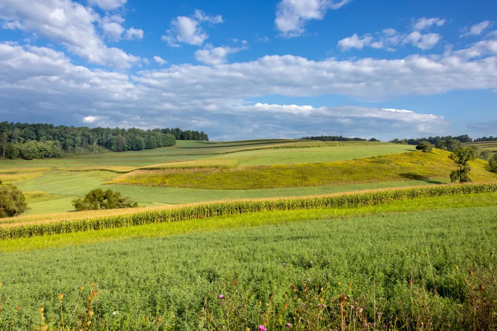 State College, Pennsylvania skyline and neighborhoods served by U-wifi home internet