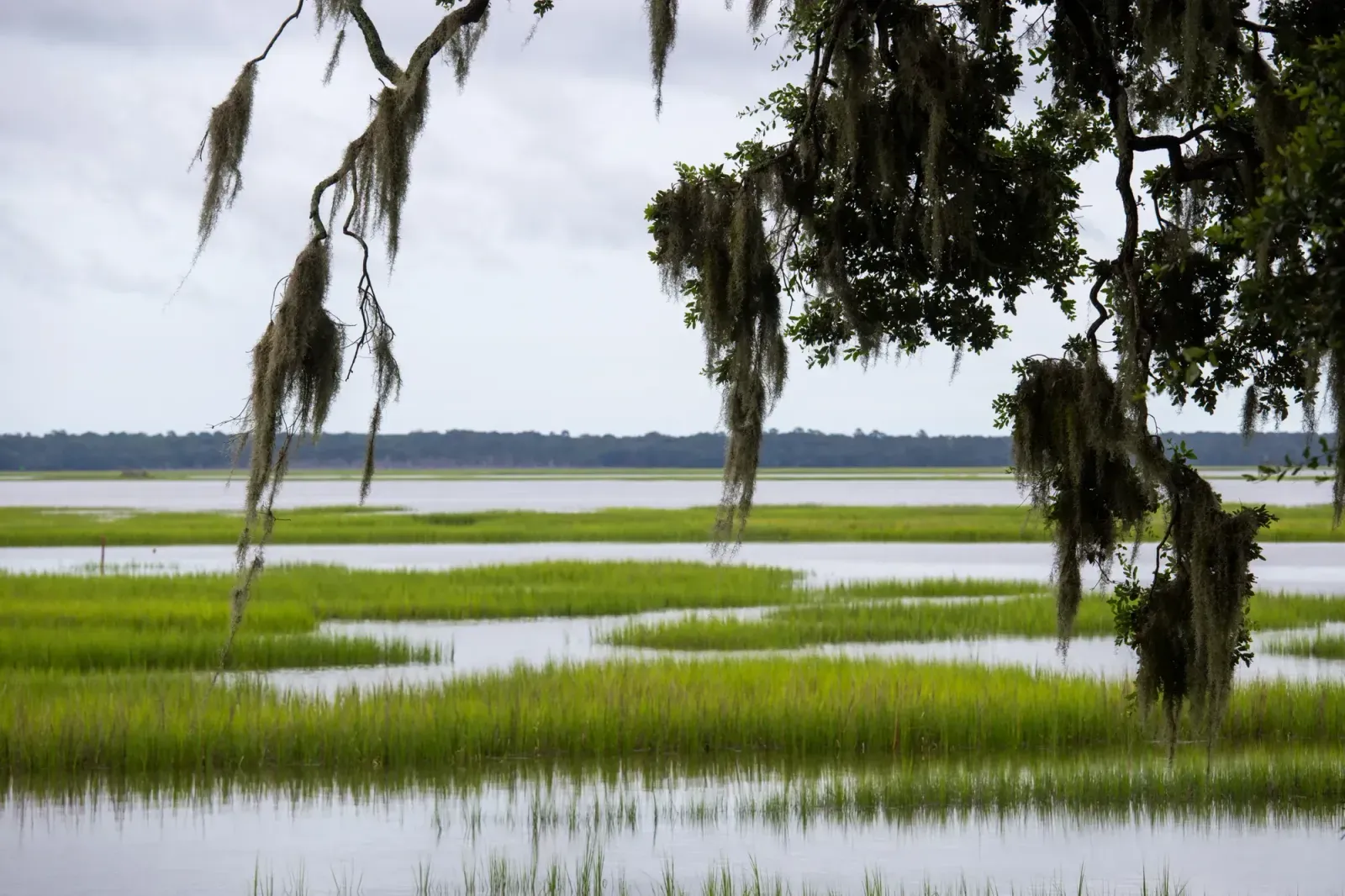 Sumter, South Carolina skyline and neighborhoods served by U-wifi home internet