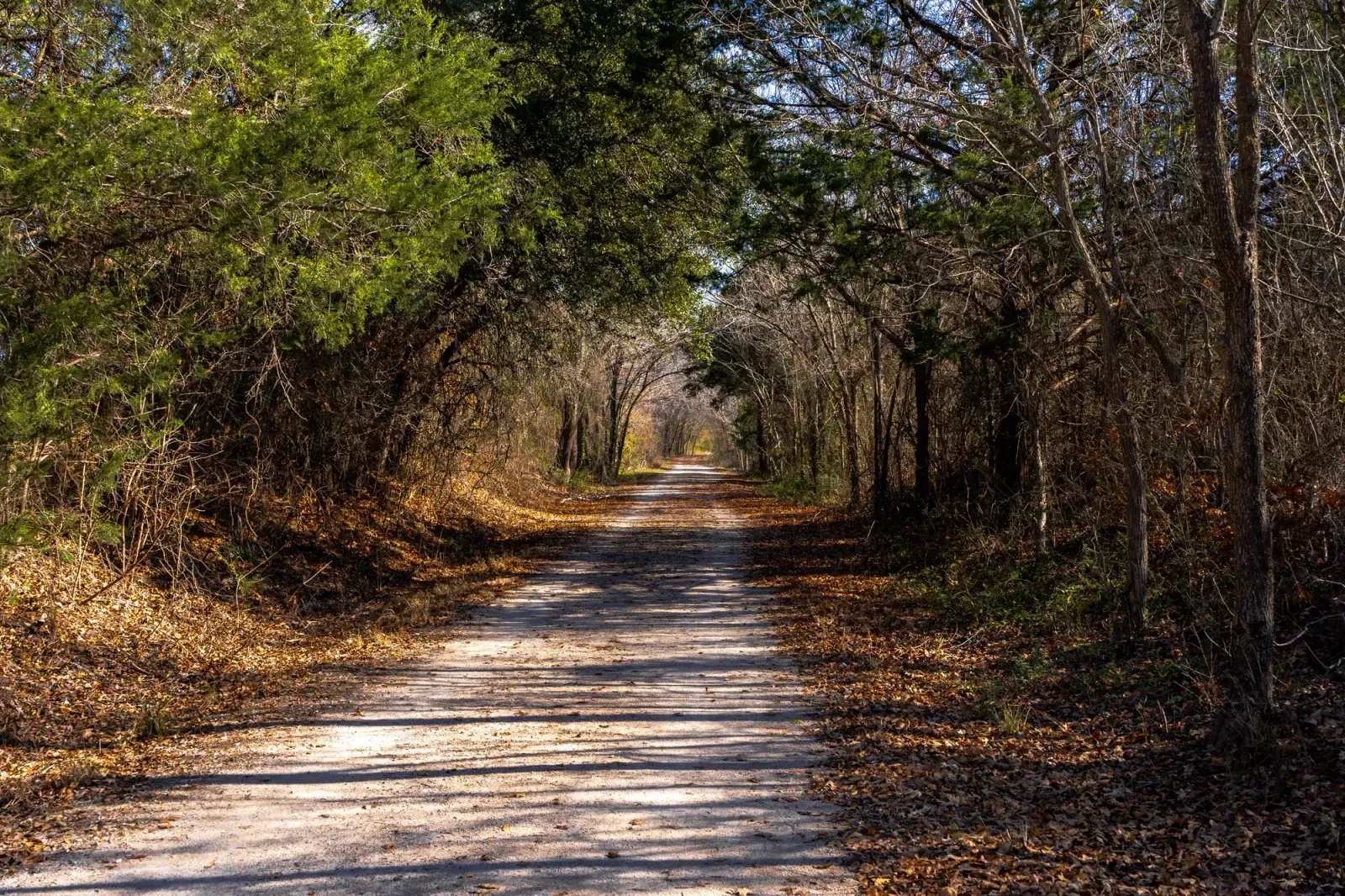 Friendswood, Texas skyline and neighborhoods served by U-wifi home internet